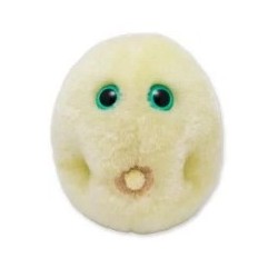 GIANTMICROBES POLLINE - FEBBRE DA FIENO Pollen (Hay Fever)