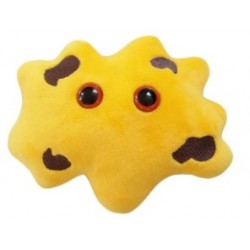 GIANTMICROBES CALCOLO BILIARE Gallstones | Agile Italia