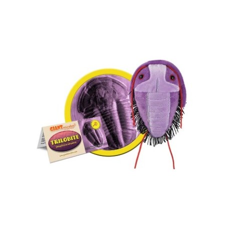 GIANTMICROBES TRILOBITE (Asaphiscus Wheeleri)