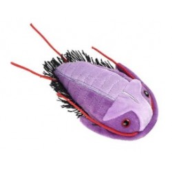 GIANTMICROBES TRILOBITE (Asaphiscus Wheeleri) | Agile Italia