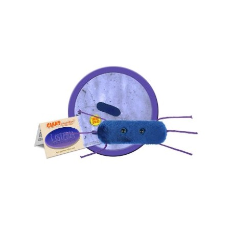 GIANTMICROBES LISTERIA