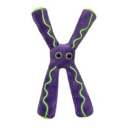 GIANTMICROBES CROMOSOMA Chromosome | Agile Italia