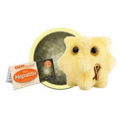 GIANTMICROBES EPATITE HCV Hepatitis | Agile Italia
