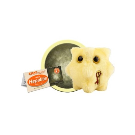 GIANTMICROBES EPATITE HCV Hepatitis