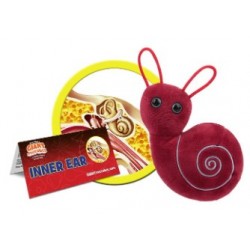 GIANTMICROBES ORECCHIO INTERNO Inner Ear | Agile Italia