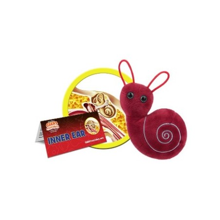 GIANTMICROBES ORECCHIO INTERNO Inner Ear
