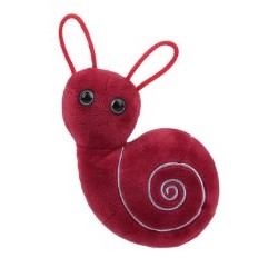 GIANTMICROBES ORECCHIO INTERNO Inner Ear | Agile Italia