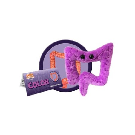GIANTMICROBES COLON