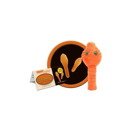 GIANTMICROBES BOTULISMO Botox / Botulism
