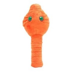 GIANTMICROBES BOTULISMO Botox / Botulism | Agile Italia