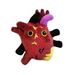 GIANTMICROBES MALATTIA CARDIACA Heart Disease | Agile Italia