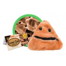 GIANTMICROBES CELLULA EPATICA Liver Cell | Agile Italia