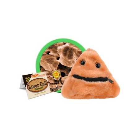 GIANTMICROBES CELLULA EPATICA Liver Cell