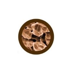 GIANTMICROBES CELLULA EPATICA Liver Cell | Agile Italia