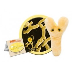 GIANTMICROBES BIFIDO (Bifidobacterium Longum) | Agile Italia