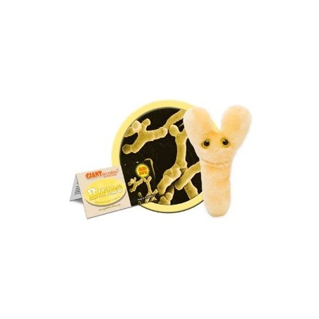 GIANTMICROBES BIFIDO (Bifidobacterium Longum)