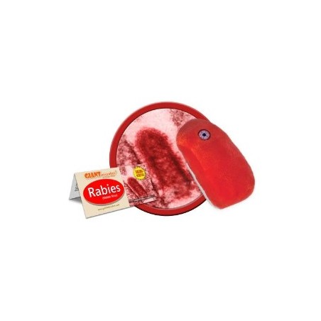 GIANTMICROBES RABBIA VIRUS Rabies
