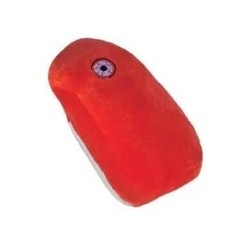 GIANTMICROBES RABBIA VIRUS Rabies | Agile Italia