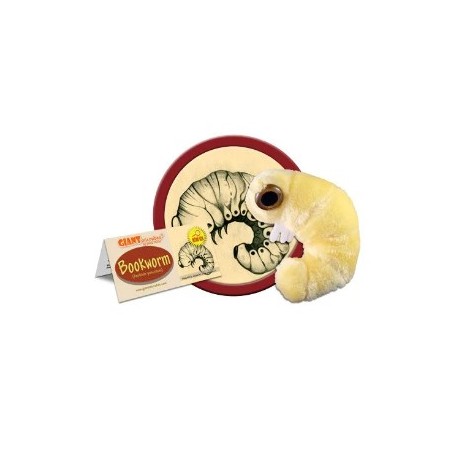 GIANTMICROBES TARLO DEI LIBRI Bookworm (Anobium Punctatum)
