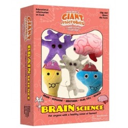 GM BOX CERVELLO SCIENTIFICO Brain Science | Agile Italia