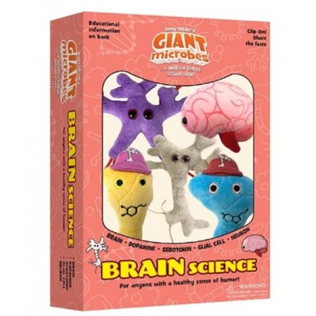 GM BOX CERVELLO SCIENTIFICO Brain Science