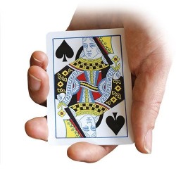 Mazzo carte Trova La Regina - Find the Queen | Agile Italia