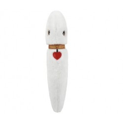 GIANTMICROBES FILARIA (Dirofilaria immitis) | Agile Italia