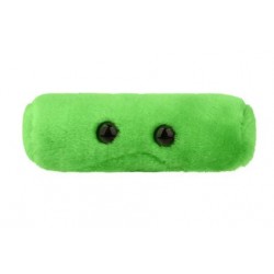 GIANTMICROBES TB (Tuberculosis) | Agile Italia