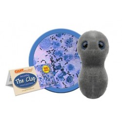 Giantmicrobes Gonorrea (Clap) | Agile Italia