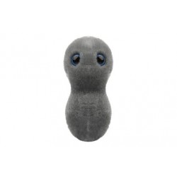 Giantmicrobes Gonorrea (Clap) | Agile Italia