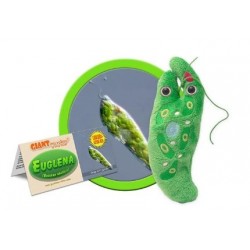 GIANTMICROBES EUGLENA (Euglena Gracilis) | Agile Italia