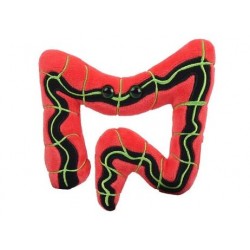 GIANTMICROBES SINDROME INTESTINO IRRITABILE (Irritable