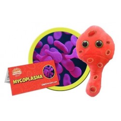 GIANTMICROBES MYCOPLASMA (Mycoplasma genitalium)