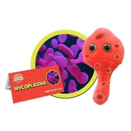 GIANTMICROBES MYCOPLASMA (Mycoplasma genitalium)