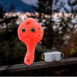 GIANTMICROBES MYCOPLASMA (Mycoplasma genitalium)