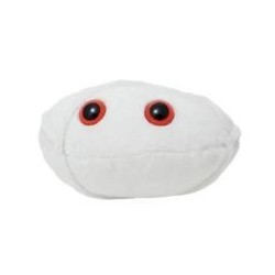 GIANTMICROBES ANTRACE (Anthrax) | Agile Italia