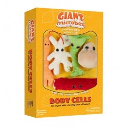 GM BOX CELLULE DEL CORPO Body Cells | Agile Italia
