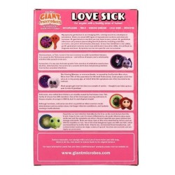 GM BOX AMORE MALATO Love Sick | Agile Italia