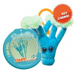 GIANTMICROBES PORTACHIAVI PENICILLINA Penicillin