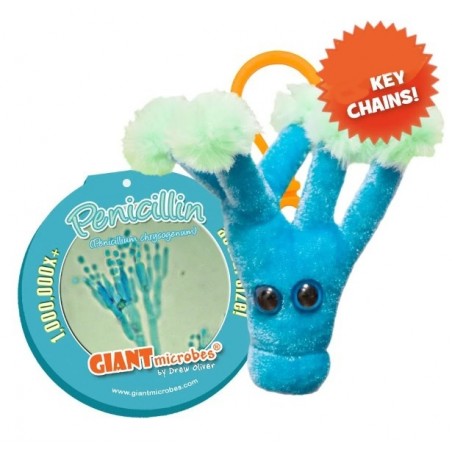 GIANTMICROBES PORTACHIAVI PENICILLINA Penicillin