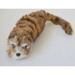 Racoon BIG - pupazzo Magico - Procione Mascotte