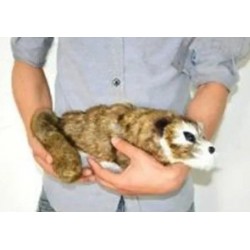 Racoon BIG - pupazzo Magico - Procione Mascotte