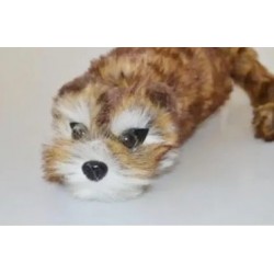 Racoon BIG - pupazzo Magico - Procione Mascotte