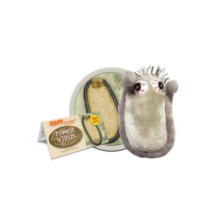 GIANTMICROBES ZOMBIE VIRUS Pithovirus sibericum