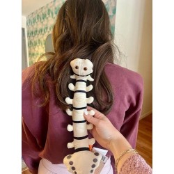 GIANTMICROBES SPINA DORSALE - spine | Agile Italia