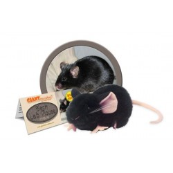 GIANTMICROBES TOPO NERO (CAVIA) Black Lab Mouse