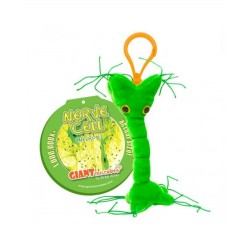GIANTMICROBES PORTACHIAVI CELLULA NERVOSA Nerve Cell