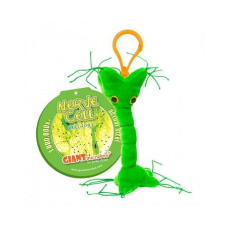 GIANTMICROBES PORTACHIAVI CELLULA NERVOSA Nerve Cell