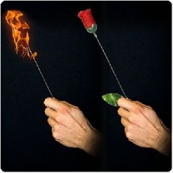 Da Torcia a Rosa | Agile Italia