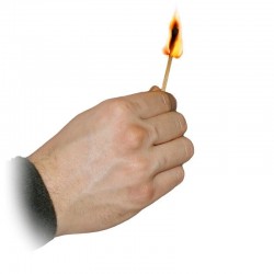 Da Fiammifero a Rosa | Agile Italia
